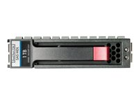 HPE - Hårddisk - 1 TB - hot-swap - 3.5" - SAS 6Gb/s - 7200 rpm 507614-B21