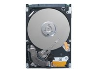 Dell - Hårddisk - 300 GB - inbyggd - 2.5" (i 3,5-tums hållare) - SAS 12Gb/s - 15000 rpm 400-ATIK