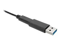 Tripp Lite USB-C to USB-A Adapter (F/M), USB 3.2 Gen 2 (10 Gbps) - USB-adapter - 24 pin USB-C (hona) till USB typ A (hane) - USB 3.2 Gen 2 / Thunderbolt 3 - 0.9 A - upp till 10 Gbps dataöverföringshastighet - svart U329-000-10G