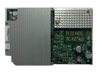 LSI WarpDrive - SSD - 400 GB - inbyggd - PCIe 2.0 x8 UCS-EZ7-LSI-400M