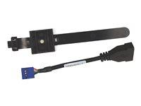HP Internal USB Port Kit - USB-kabel - USB (hona) - för Workstation Z2 G4, Z230, Z240, Z4 G4, Z420, Z440, Z6 G4, Z620, Z640, Z840; ZCentral 4R EM165AA