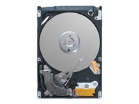 Dell - Hårddisk - 1 TB - hot-swap - 3.5" - SATA 6Gb/s - 7200 rpm - för PowerEdge C6420 (3.5") 400-ATJJ