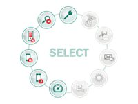 Kaspersky Endpoint Security for Business - Select - Abonnemangslicens (1 år) - 1 nod - volym - Level R (100-149) - Win - Europa KL4863XARFS