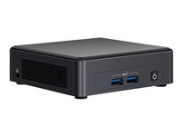 Intel Next Unit of Computing 11 Pro Kit NUC11TNHi30Z - mini-PC - Core i3 1115G4 - 0 GB - ingen HDD BNUC11TNHI30Z00