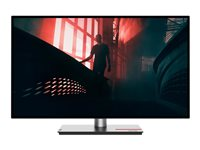 Lenovo ThinkVision P27h-30 - LED-skärm - QHD - 27" 63A1GAT1EU