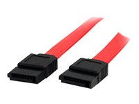StarTech.com 36in SATA Serial ATA Cable - SATA cable - Serial ATA 150 - SATA (F) to SATA (F) - 3 ft - red - SATA36 - SATA-kabel - Serial ATA 150 - SATA (hona) till SATA (hona) - 0.9 m - röd - för P/N: 10P6G-PCIE-SATA-CARD, 2P6G-PCIE-SATA-CARD, 4P6G-PCIE-SATA-CARD, 6P6G-PCIE-SATA-CARD SATA36