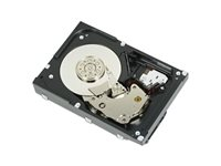 Dell - Hårddisk - 1.2 TB - hot-swap - 2.5" (i 3,5-tums hållare) - SAS 12Gb/s - 10000 rpm 400-BBFI