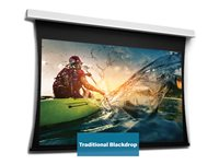 Da-Lite Tensioned DescenderPro - Projektorduk - takmontering - motoriserad - 230 V - 149.21" (379 cm) - 16:9 - HD Progressive 1.1 Contrast - RAL 9016 10104668