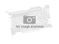 Lenovo ThinkServer RAID 500 Adapter II - Kontrollerkort (RAID) - 8 Kanal - SAS - låg profil - RAID RAID 0, 1, 10 - PCIe 2.0 x8 - CRU - för ThinkServer RD330; RD340; RD430; RD440; RD530; RD540; RD640; RS140; TD330; TD340; TS440 0A89464