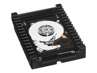 WD VelociRaptor WD1000DHTZ - Hårddisk - 1 TB - inbyggd - 3.5" - SATA 6Gb/s - 10000 rpm - buffert: 64 MB WD1000DHTZ