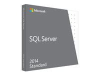 Microsoft SQL Server 2014 Standard - Boxpaket - 1 server, 10 klienter - DVD - Ej till USA - Win - engelska 228-10253