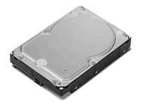 Lenovo - Hårddisk - 6 TB - inbyggd - 3.5" - SATA 6Gb/s - 7200 rpm - för ThinkStation P2; P330 Gen 2; P340; P350; P520; P720; P920 4XB0X87802