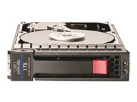 HPE - Hårddisk - 1 TB - 3.5" LFF - SATA 3Gb/s - 7200 rpm - för Modular Smart Array 1040, 2040, P2000, P2000 3.5-in, P2000 G3 AJ740B