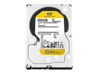 WD RE WD5003ABYZ - Hårddisk - 500 GB - inbyggd - 3.5" - SATA 6Gb/s - 7200 rpm - buffert: 64 MB WD5003ABYZ