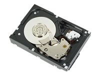 Dell - Hårddisk - 4 TB - 3.5" - SATA - 7200 rpm - för PowerEdge T150 400-BLNW