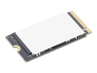 Lenovo - SSD - krypterat - 1 TB - inbyggd - M.2 2242 - PCIe 4.0 (NVMe) - TCG Opal Encryption 2.0 - blå - för ThinkPad X9-14 Gen 1 21QA, 21QB; X9-15 Gen 1 21Q6, 21Q7 4XB1T94546