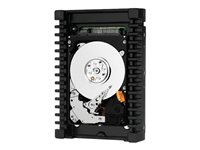 WD XE WD3001HKHG - Hårddisk - 300 GB - inbyggd - 3.5" - SAS 6Gb/s - 10000 rpm - buffert: 32 MB WD3001HKHG