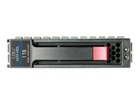 HPE Midline - Hårddisk - 500 GB - hot-swap - 3.5" LFF - SATA 3Gb/s - 7200 rpm - Top Value 458928-TV1