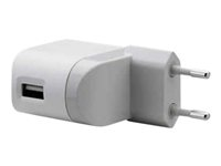 Belkin USB Power Adapter - Strömadapter - 1000 mA (mini-USB typ B) - för Apple iPhone/iPod F8Z563CW