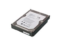 Hitachi - Hårddisk - 1 TB - inbyggd - 3.5" - SATA 3Gb/s - 7200 rpm - för px12-350r Network Storage Array; px12-400r Acronis Backup; px12-450r Network Storage Array 4N40A33704