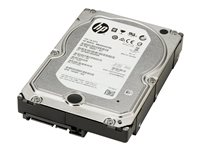 HP - Hårddisk - 4 TB - inbyggd - 3.5" - SATA 6Gb/s - 7200 rpm - buffert: 128 MB - för Workstation Z2 G4, Z2 G5, Z2 G8, Z2 G9, Z4 G4, Z4 G5, Z6 G4, Z8 G4, Z8 G5; ZCentral 4R K4T76AA
