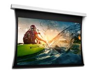 Da-Lite Tensioned DescenderPro - Projektorduk - takmonterbar - motoriserad - 125" (318 cm) - 16:9 - HD Progressive 1.3 - RAL 9016 10104654