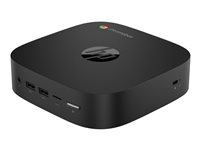 HP Chromebox G4 - mini Celeron 7305 1.1 GHz - 4 GB - flash 64 GB 8T8P8EA#UUW