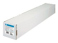 HP Everyday Adhesive Matte Polypropylene - Polypropylen (PP) - matt - självhäftande - 8,5 mil - Rulle (152,4 cm x 22,9 m) - 168 g/m² - 1 rulle (rullar) film (paket om 2) - för DesignJet 5000, 5000ps, 5000uv, 5500, 5500ps, Z6100, Z6100ps, Z6200, Z6600, Z6800 C0F22A
