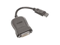 Lenovo - DVI-kabel - enkel länk - DisplayPort (hane) till DVI-D (hona) - 20 cm - grå 45J7915