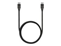 Kensington DisplayPort 1.4 (M/M) Cable, 6ft - DisplayPort-kabel - DisplayPort (hane) spärrad till DisplayPort (hane) spärrad - DisplayPort 1.4 - 1.83 m - stöd för 8K - svart K33021WW