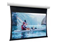Da-Lite Tensioned Elpro Concept - Projektorduk - takmontering, väggmontering - motoriserad - 230 V - 116.14" (295 cm) - 16:10 - Matte White (Tensioned) - RAL 9016, matt vit 10101189