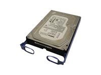 Lenovo - Hårddisk - 500 GB - 3.5" - SATA 3Gb/s - 7200 rpm - för ThinkServer TS130 67Y2613