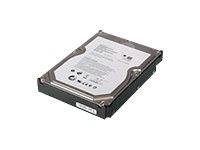 Lenovo NAS Drive Multi-Pack - Hårddisk - 4 TB - inbyggd - 3.5" - SATA 3Gb/s - 7200 rpm (paket om 4) - för px12-350r Network Storage Array; px12-400r Acronis Backup; px12-450r Network Storage Array 4N40A33703