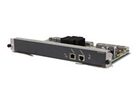 HPE 1250x G2 Fabric Module - Switch - insticksmodul - för HPE 12504 AC Switch Chassis JC658A