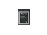 SanDisk Professional - Flash-minneskort - 256 GB - CFexpress, typ B - svart SDPCVN4-256G-GNANN