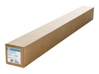 HP DuPont Tyvek - Rulle (152,4 cm x 45,7 m) - 135 g/m² - 1 rulle (rullar) Tyvek-banderoll - för DesignJet 10000s, 8000s, 8000sf, 8000sr, 9000s, 9000sf, L65500 CG446A