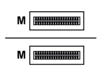 Cisco - 400GBase-AOC direktanslutningskabel - QSFP-DD (hane) till QSFP-DD (hane) - 1 m - fiberoptisk - Active Optical Cable (AOC) - för P/N: 8800-LC-36FH=, 8800-LC-36FH-B=, 8804-SYS, 8808-SYS, 8812-SYS, 8818-SYS QDD-400-AOC1M=