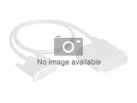 Lenovo - Extern SAS-kabel - 36 pin 4x Mini SAS HD (SFF-8644) (hane) till 36 pin 4x Mini SAS HD (SFF-8644) (hane) - 60 cm - för Storwize V3700; Storwize V3700 00Y2465