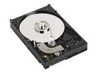 Dell - Hårddisk - 1 TB - inbyggd - 2.5" - SATA 3Gb/s - 5400 rpm - för Inspiron 15 35XX, 5559; Latitude 33XX; OptiPlex 90XX; Precision Rack 7910; Vostro 15 3568 400-26040